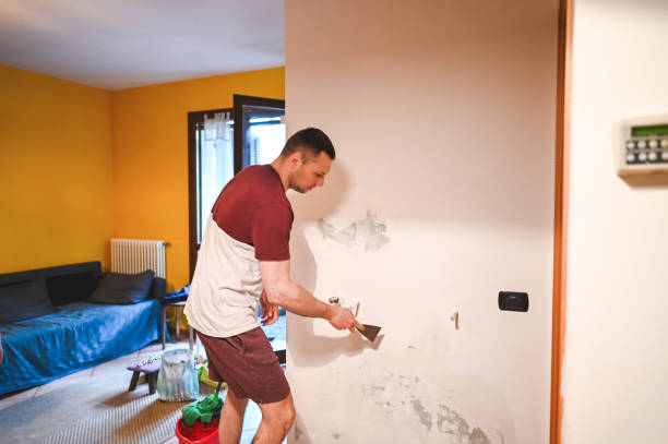 Pine Grove Mills, PA Mold Removal Company